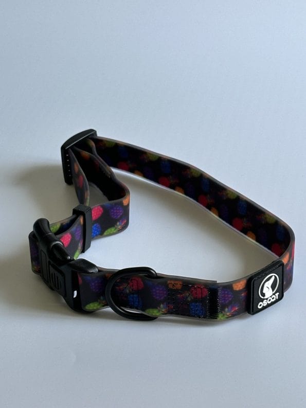 PINEAPPLE-CRUSH EVERYDAY COLLAR