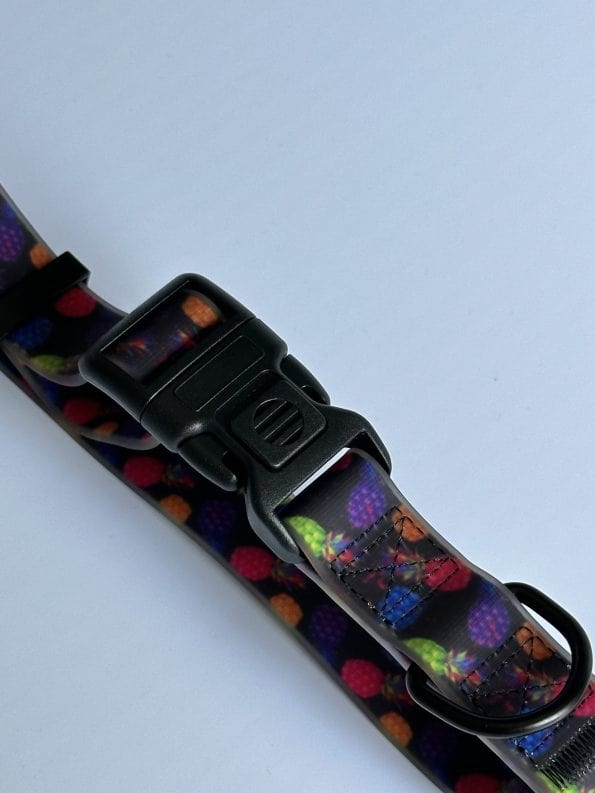 PINEAPPLE-CRUSH EVERYDAY COLLAR-2
