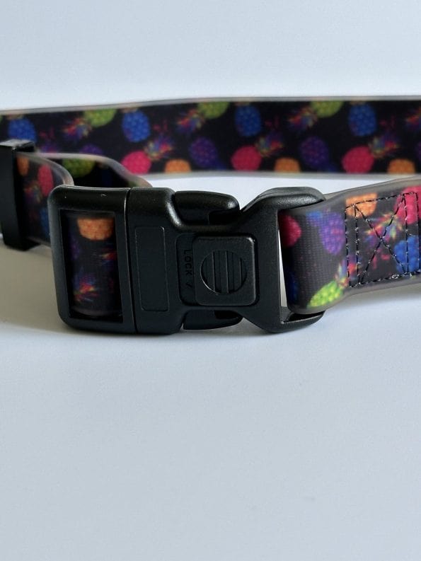 PINEAPPLE-CRUSH EVERYDAY COLLAR-3