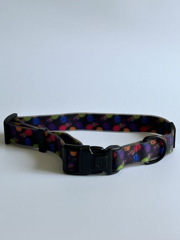 PINEAPPLE-CRUSH EVERYDAY COLLAR-4