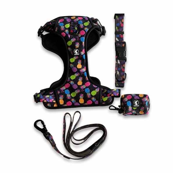 PINEAPPLE-CRUSH EVERYDAY HARNESS-1