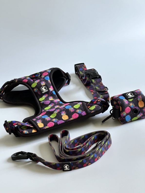 PINEAPPLE-CRUSH EVERYDAY HARNESS-5