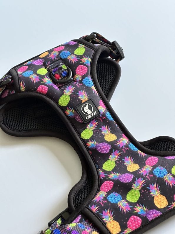 PINEAPPLE-CRUSH EVERYDAY HARNESS-6