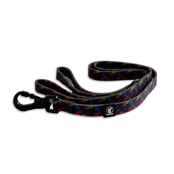 PINEAPPLE-CRUSH EVERYDAY LEASH-1