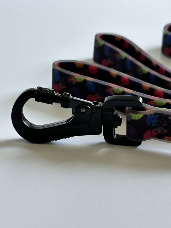PINEAPPLE-CRUSH EVERYDAY LEASH-4