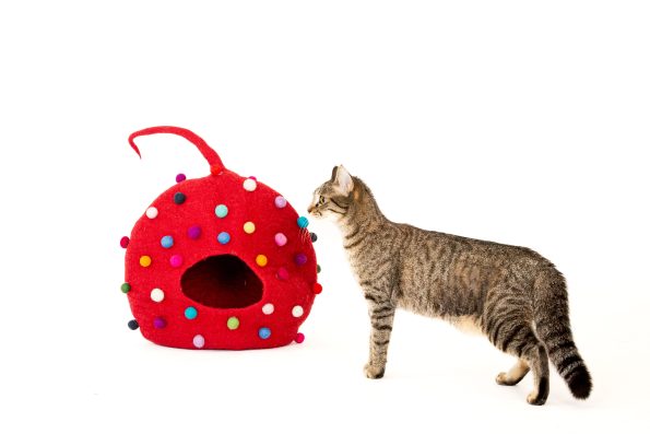 POLKA CAT CAVE-1