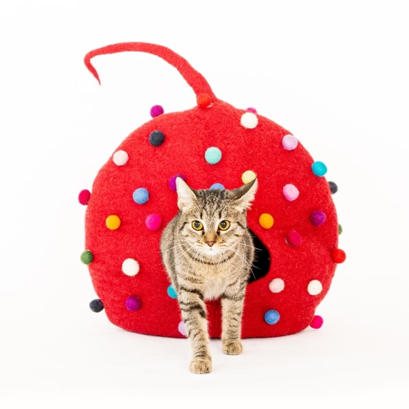 POLKA CAT CAVE-4