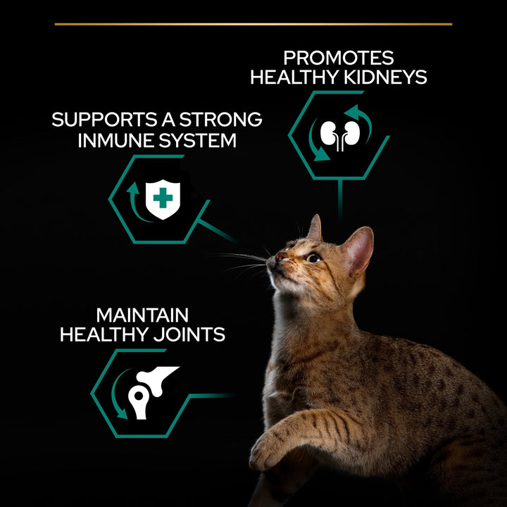 PURINA Pro Plan Adult Renal Plus Chicken Dry Cat Food-3