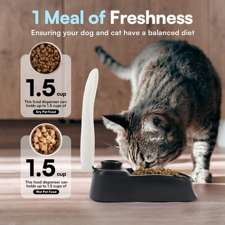 Pawise Automatic Pet Feeder-10