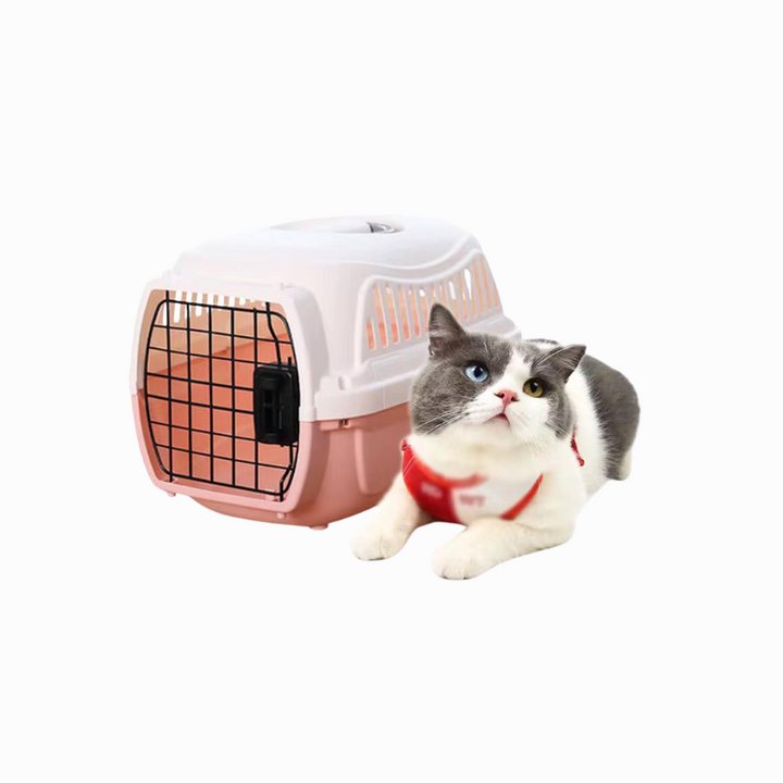 Pet Carrier Small -3