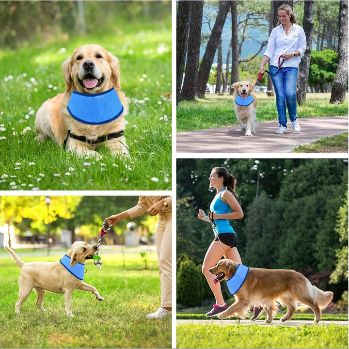 Pet Cooling Vest for Dogs & Cats with Adjustable Strap-2