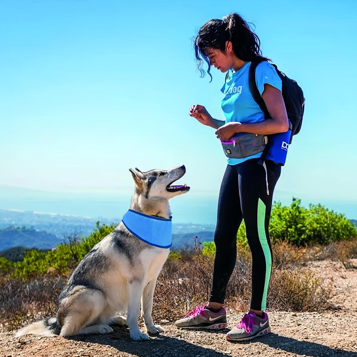 Pet Cooling Vest for Dogs & Cats with Adjustable Strap-4