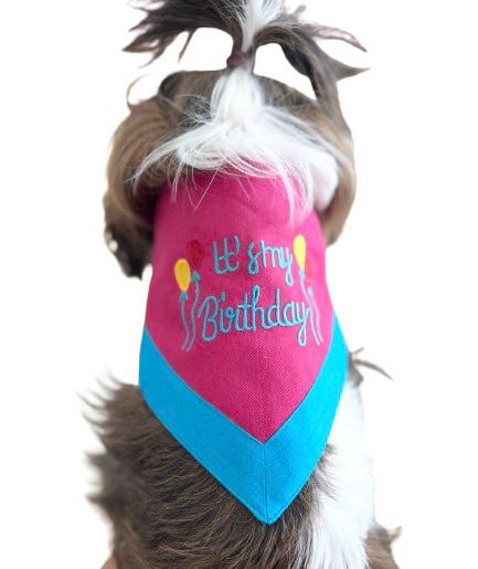 Pink & Blue Embroidered Birthday Bandana-1
