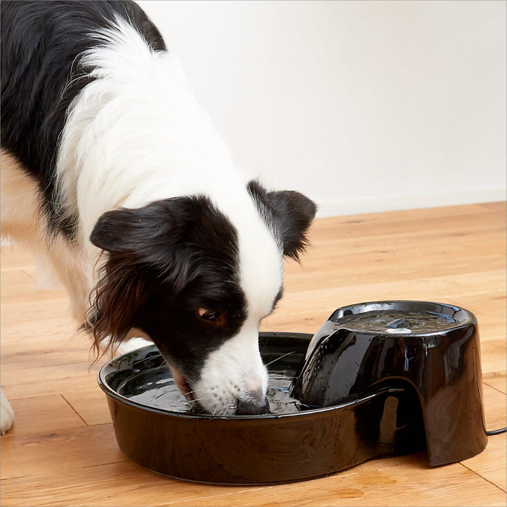 Pioneer Ceramic Drinking Fountain Big Max-2