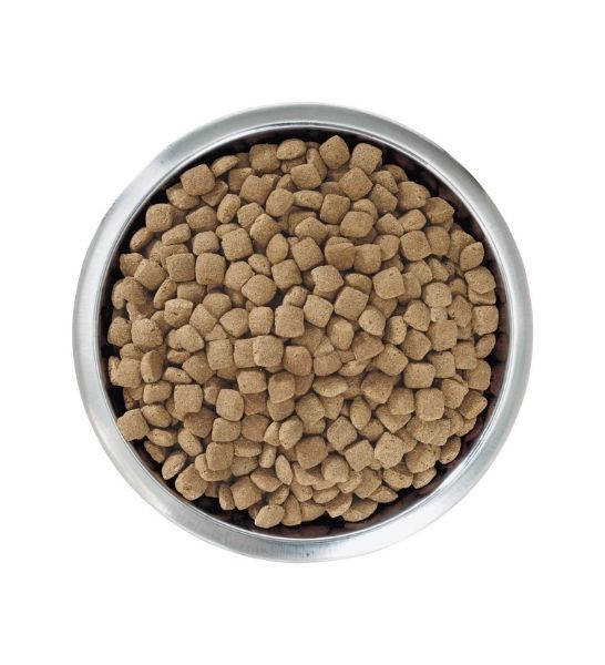 Purina Proplan-Adult-4