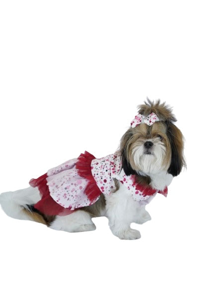 RedPolka-1
