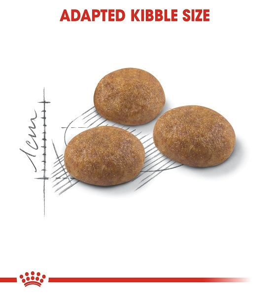 Royal Canin Active Life Outdoor Adult Dry Cat Food 2KG - 3