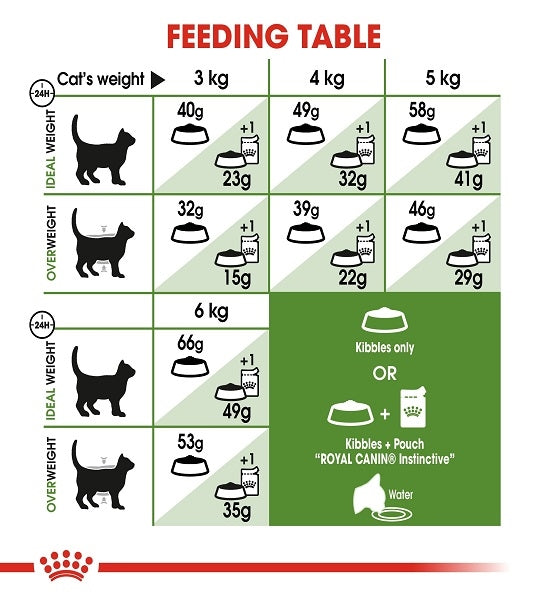 Royal Canin Active Life Outdoor Adult Dry Cat Food 2KG - 4