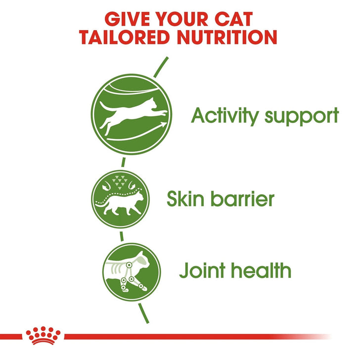 Royal Canin Active Life Outdoor Adult Dry Cat Food 2KG - 5