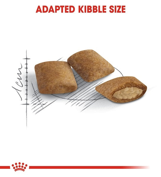 Royal Canin Ageing 12+ Dry Cat Food 2KG - 3
