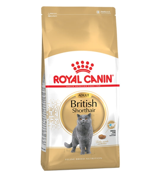 Royal Canin British Shorthair Adult Dry Cat Food 4KG - 1