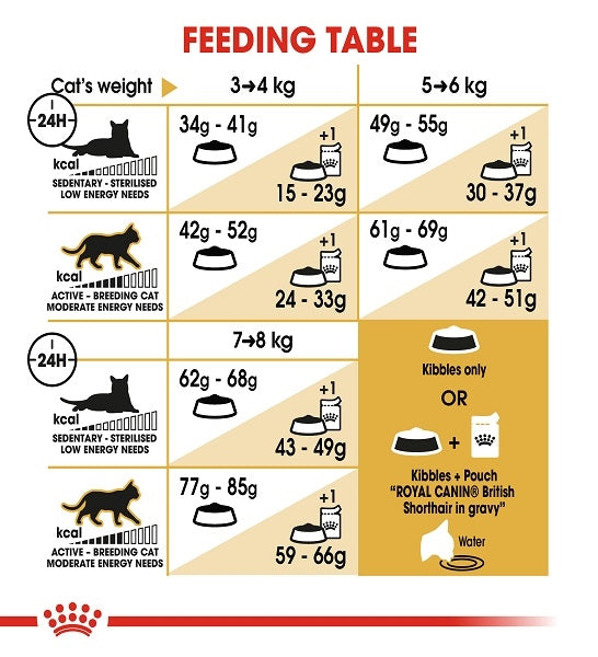 Royal Canin British Shorthair Adult Dry Cat Food 4KG - 5