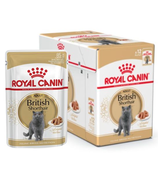 Royal Canin British Shorthair Adult Wet Cat Food - 1