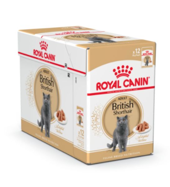 Royal Canin British Shorthair Adult Wet Cat Food - 5