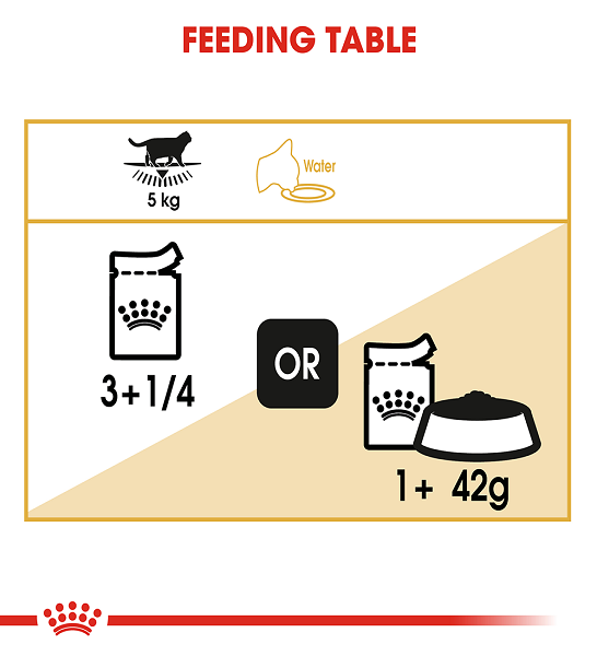 Royal Canin British Shorthair Adult Wet Cat Food - 6