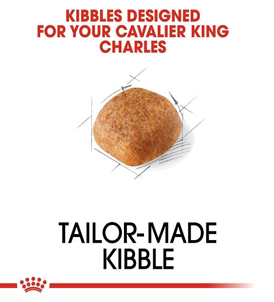Royal Canin Cavalier King Charles Spaniel Adult Dry Dog Food 1.5KG - 2