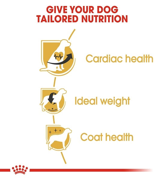 Royal Canin Cavalier King Charles Spaniel Adult Dry Dog Food 1.5KG - 3