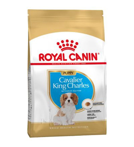 Royal Canin Cavalier King Charles Spaniel Puppy Dry Food 1.5KG - 1