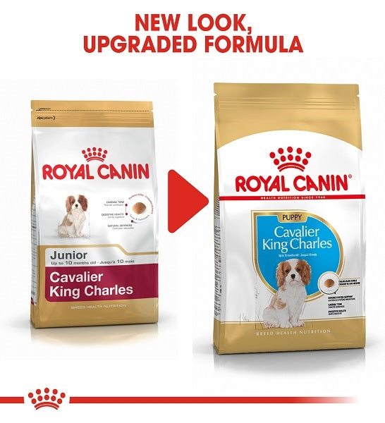 Royal Canin Cavalier King Charles Spaniel Puppy Dry Food 1.5KG - 2