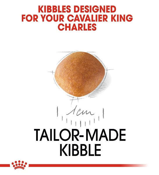 Royal Canin Cavalier King Charles Spaniel Puppy Dry Food 1.5KG - 3