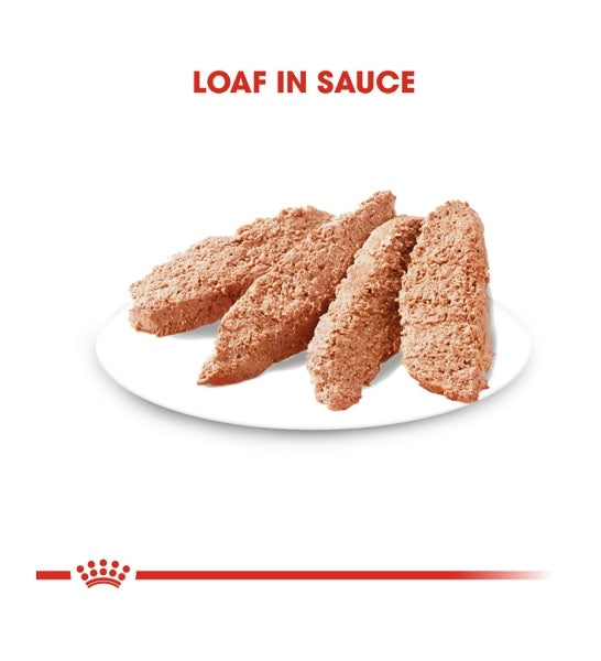 Royal Canin Coat Care In Loaf Dog Wet Food 85G - 2