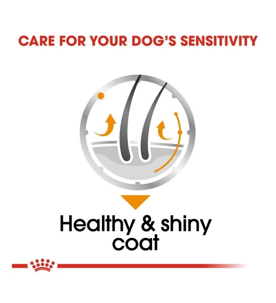Royal Canin Coat Care In Loaf Dog Wet Food 85G - 3