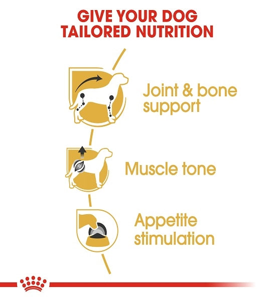  Royal Canin Dachshund Adult Wet Dog Food 85G - 3