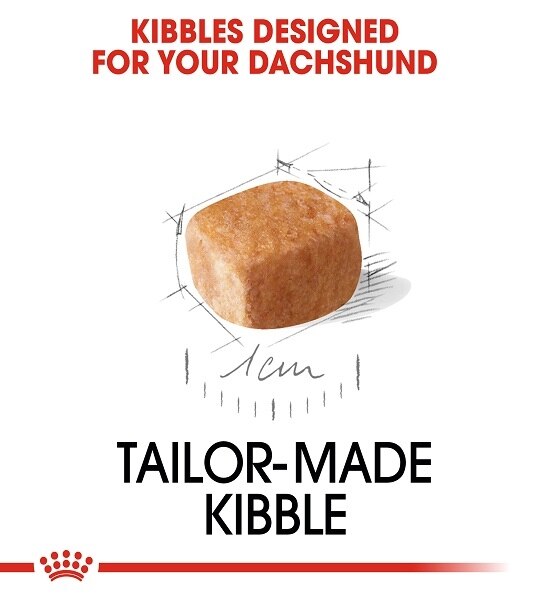 Royal Canin Dachshund Puppy Dry Food 1.5KG - 3