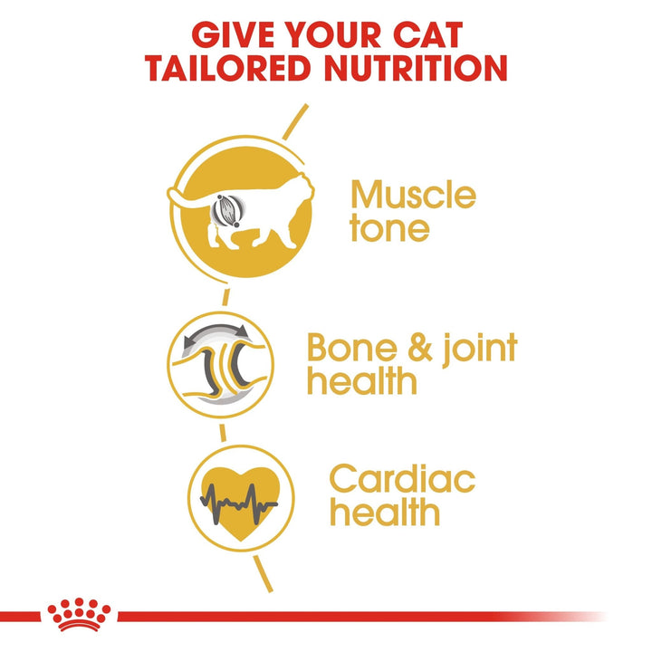 Royal Canin Feline Breed Nutrition British Shorthair Dry Adult Cat Food - 10Kg-3