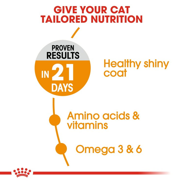 Royal Canin Feline Care Nutrition Hair & Skin-2