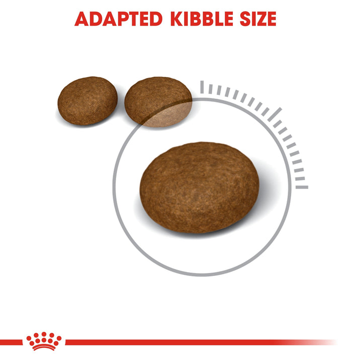 Royal Canin Feline Care Nutrition Hair & Skin-3