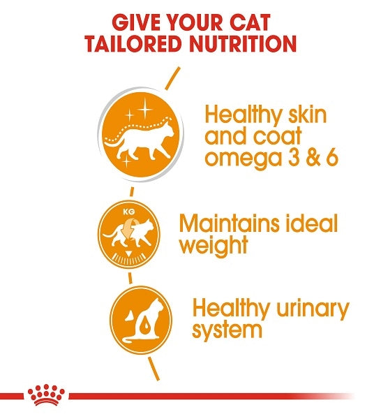 Royal Canin Feline Care Nutrition Hair & Skin In Gravy Adult Wet Cat Food - 5
