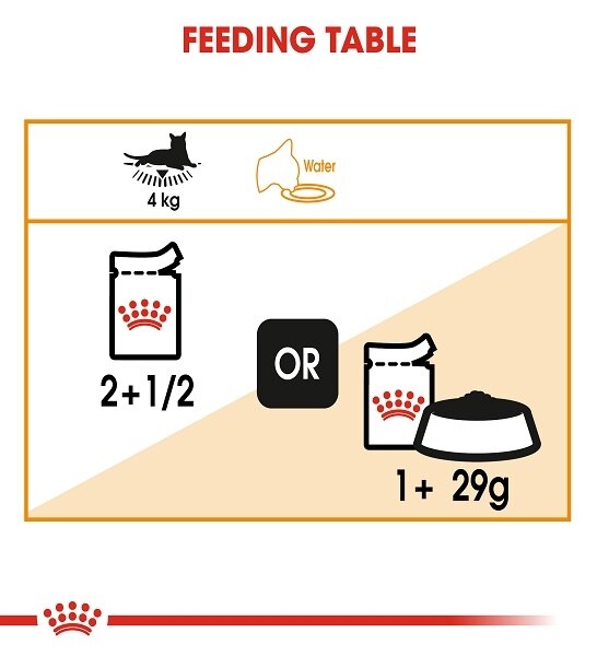 Royal Canin Feline Care Nutrition Hair & Skin In Gravy Adult Wet Cat Food - 6