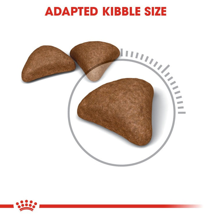 Royal Canin Feline Care Nutrition Hairball Care-3