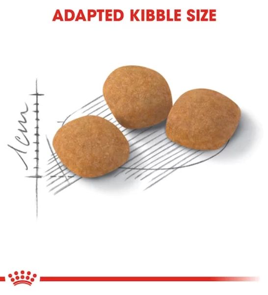 Royal Canin Feline Health Nutrition Protein Exigent Cat Dry Food 2KG - 2