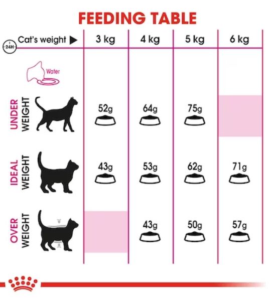 Royal Canin Feline Health Nutrition Protein Exigent Cat Dry Food 2KG - 4