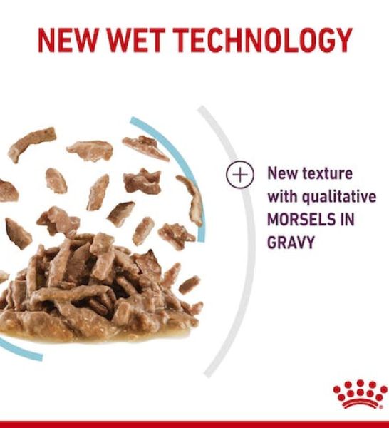 Royal Canin Feline Health Nutrition Sensory Feel Gravy Cat Wet Food 85G - 4