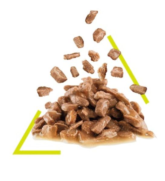 Royal Canin Feline Health Nutrition Sensory Smell Chunks In Gravy Cat Wet Food 85G - 3