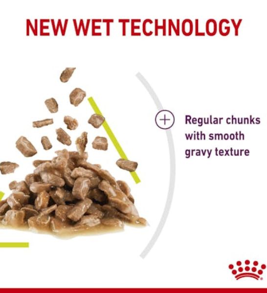 Royal Canin Feline Health Nutrition Sensory Smell Chunks In Gravy Cat Wet Food 85G - 4