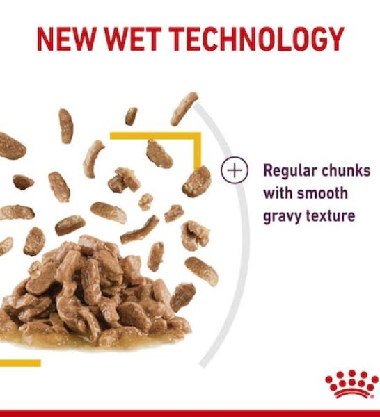 Royal Canin Feline Health Nutrition Sensory Taste Chunks In Gravy Cat Wet Food - 3